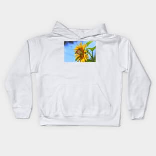 Monarch Butterfly closeup on a yellow Kansas Sunflower. Kids Hoodie